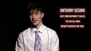 Anthony Gesino: All-Area Hockey Player of the Year