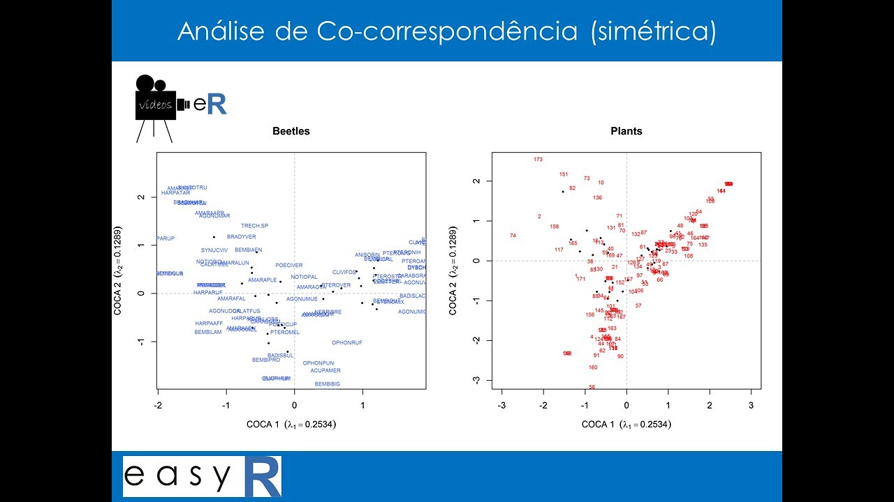 Análise de Co-correspondência (forma simétrica) | eR Vídeos #42