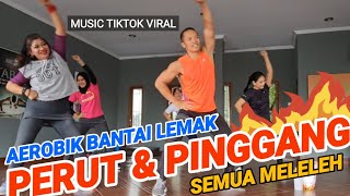 Download lagu Aerobik bakar Lemak perut & pinggang mp3