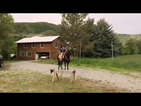 Back hand turn-over heel shot from the off side: Slow motion demonstration