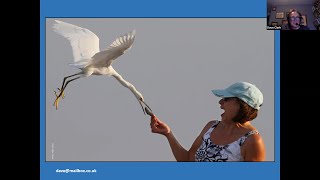 The Importance of Feeding Wild Birds by Dave Clark video