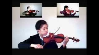 Carry On My Wayward Son (violin)