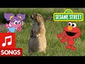Sesame Street Dance Like A Prairie Dog Animal Dance 6