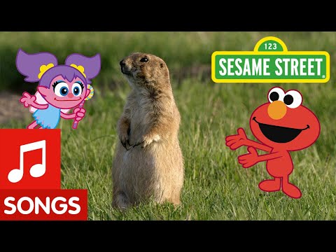 セサミストリートプレーリードッグのように踊ろう| アニマルダンス #6 (Sesame Street: Dance Like a Prairie Dog! | Animal Dance #6)