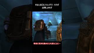 【Skyrim】事前に死体を集めてはいけない理由【霊魂の確認】