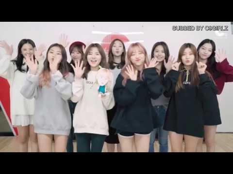 [ENG SUB] GOOD DAY VLIVE CHANNEL OPEN 🎉