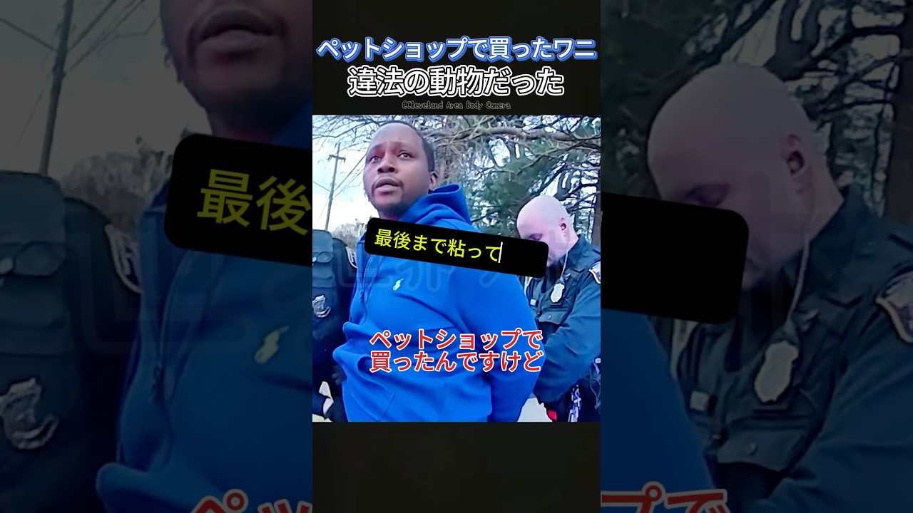 違法と知らずに買った動物