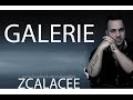 ZCALACEE Galerie 2014