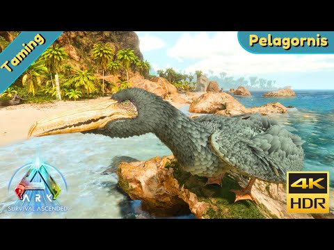 ARK Survival Ascended : Tame a Pelagornis