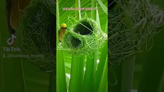 Câu chuyện Ánh sáng và Bảo hiểm nhân thọ