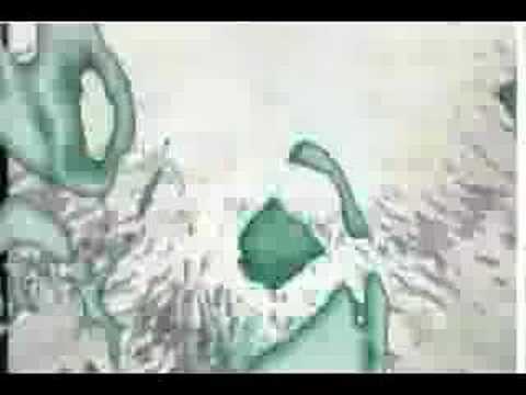 Tansorma 3 now w/ Toasting!