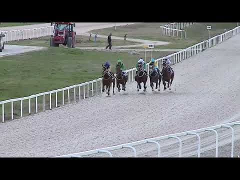 2023.04.02. 06. futam - HÁROMÉVESEK VERSENYE (III.kat.) (szintetikus pálya)