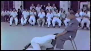 Video-Demonstrationen: Von der Unwichtigkeit der "perfekten Haltungsdetails"