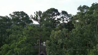 Arkansas_20250819_0637.MP4