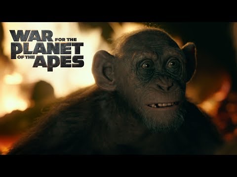 War for the Planet of the Apes | Meeting Bad Ape | 20th Century FOX