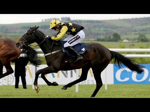 Bacardys - Punchestown 2017 Irish Champion Novice Hurdle (Build Up, Race & Reaction) [28/04/17]