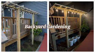 Backyard Gardening : DIY Grapes Trellis