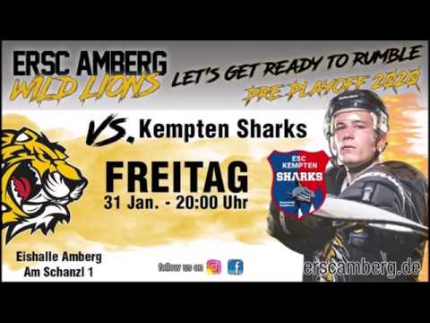Wild Lions (5) vs Sharks (6)