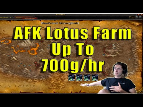 BEST WAY TO FARM GOLD (AFK????) Up to 700g/HR! Classic WoW Lotus Farming.