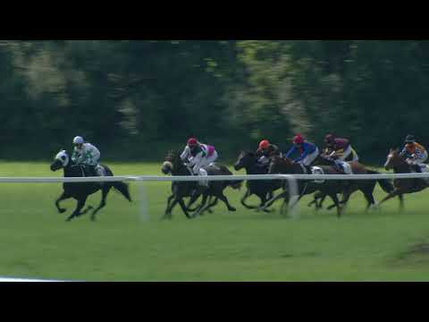 NE, 16. 8. 2020, 1. dostih - HANDICAP ŠINDELÁŘ SPEDITION s. r. o.