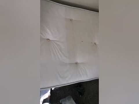 Otter Carpet Cleaning video.