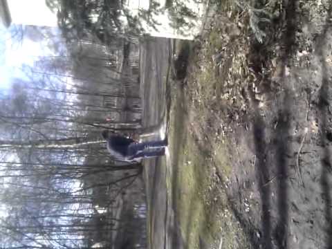 Stolwijk in Center Parcs 2011