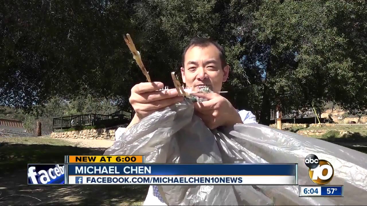 Sky lanterns loom as fire hazards across county