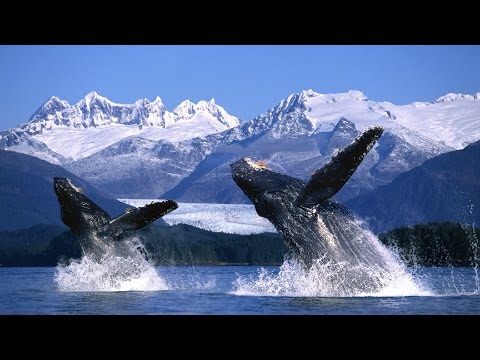 [Doku] Abenteuer Panamericana (1/5) Von Alaska bis Mexiko [HD]