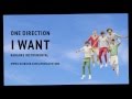 One Direction - I Want (Karaoke Instrumental) NO ...