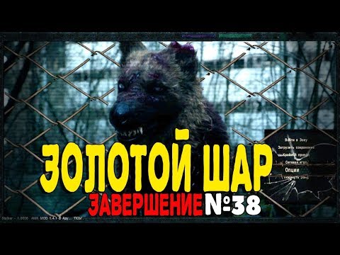 S.T.A.L.K.E.R Золотой шар Завершение. Серия 38 - Сумасшедший.