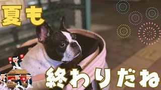 祭りを楽しんできました✨