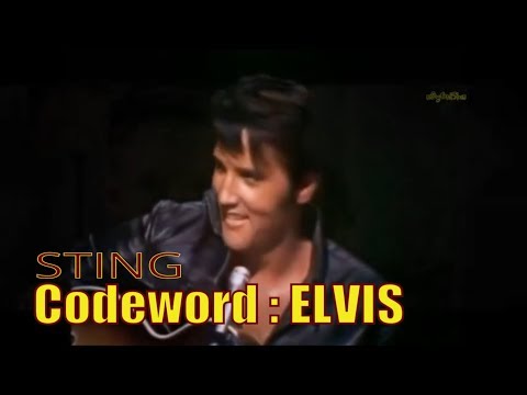 STING - Codeword Elvis