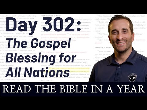Day 302: Acts 4-6 - The Gospel for All Nations | Bible in a Year (NIV)