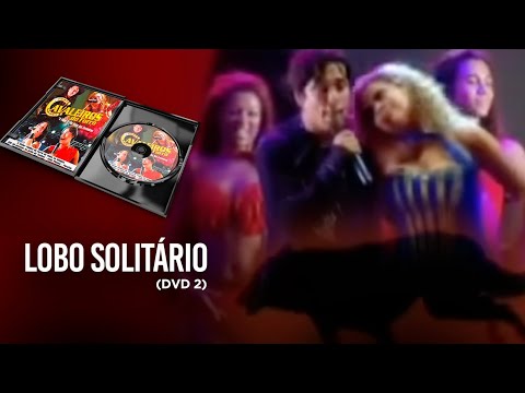 Lobo Solitário - Cavaleiros do Forró