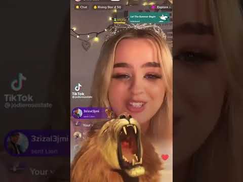 TikTok live streamers reaction to lion gift