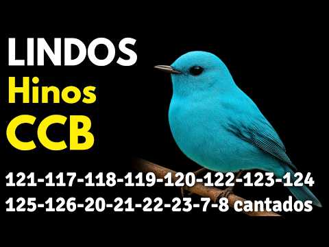 HINOS CCB 121-117-118-119-120-122-123-124-125-126-20-21-22-23-7-8-9-10-11-12-13-14-15-16-17 cantados