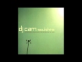 dj cam - love junkee(dub mix)