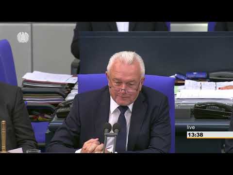 Marie-Agnes Strack-Zimmermann: Zwei-Prozent-Rüstungsziel der NATO [Bundestag 08.11.2018]