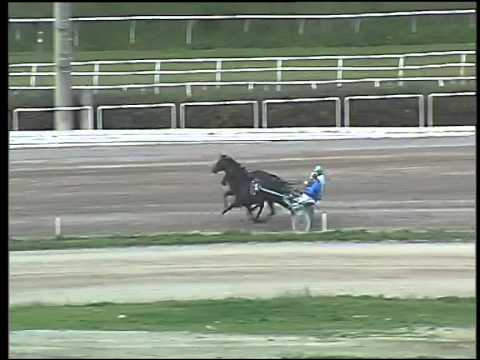 Trotto 26/03/2015 - 1° prova di riqualifica