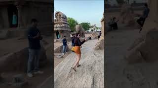 Five Ratas Vlog ⎜Nita Sharma Vlog