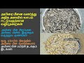 அயிரை மீனை வளர்த்து அதிக அளவில் லாபம�