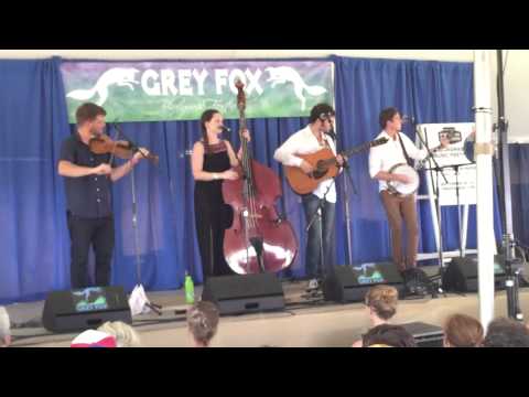 The Abby Hollander Band instrumental, Grey Fox 2015