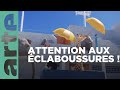 Plongeon Synchronisé 3 30 Athleticus ARTE Family
