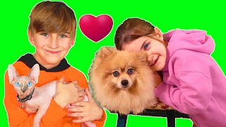 Pets are Friends , Kids song by Globiki