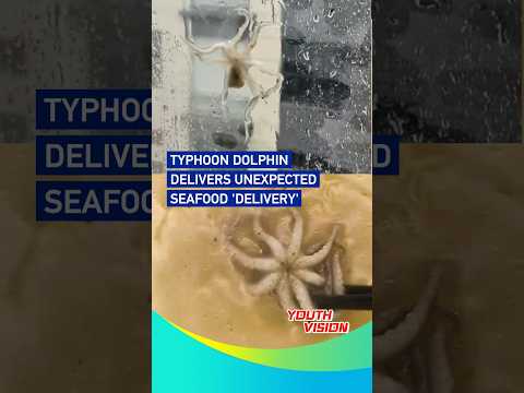 Typhoon Dolphin delivers unexpected seafood 'delivery' #youthvision