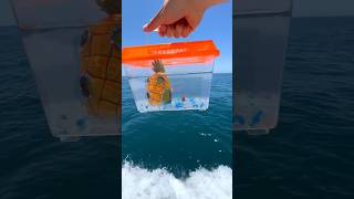 Download lagu I Saved this Goldfish’s life!😳 #shorts mp3