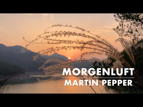 Morgenluft in mir | Martin Pepper | Lyric Video