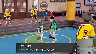 【ポケモン剣盾】鎧の孤島のストーリーを進めていく