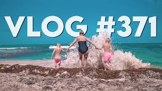 VLOG #371 / Bodhi & Ford Check out the Beach! / July 6, 2025