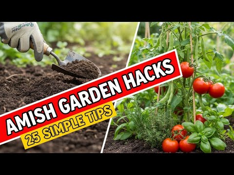 25 Amish Organic Gardening Hacks You Need to Know!